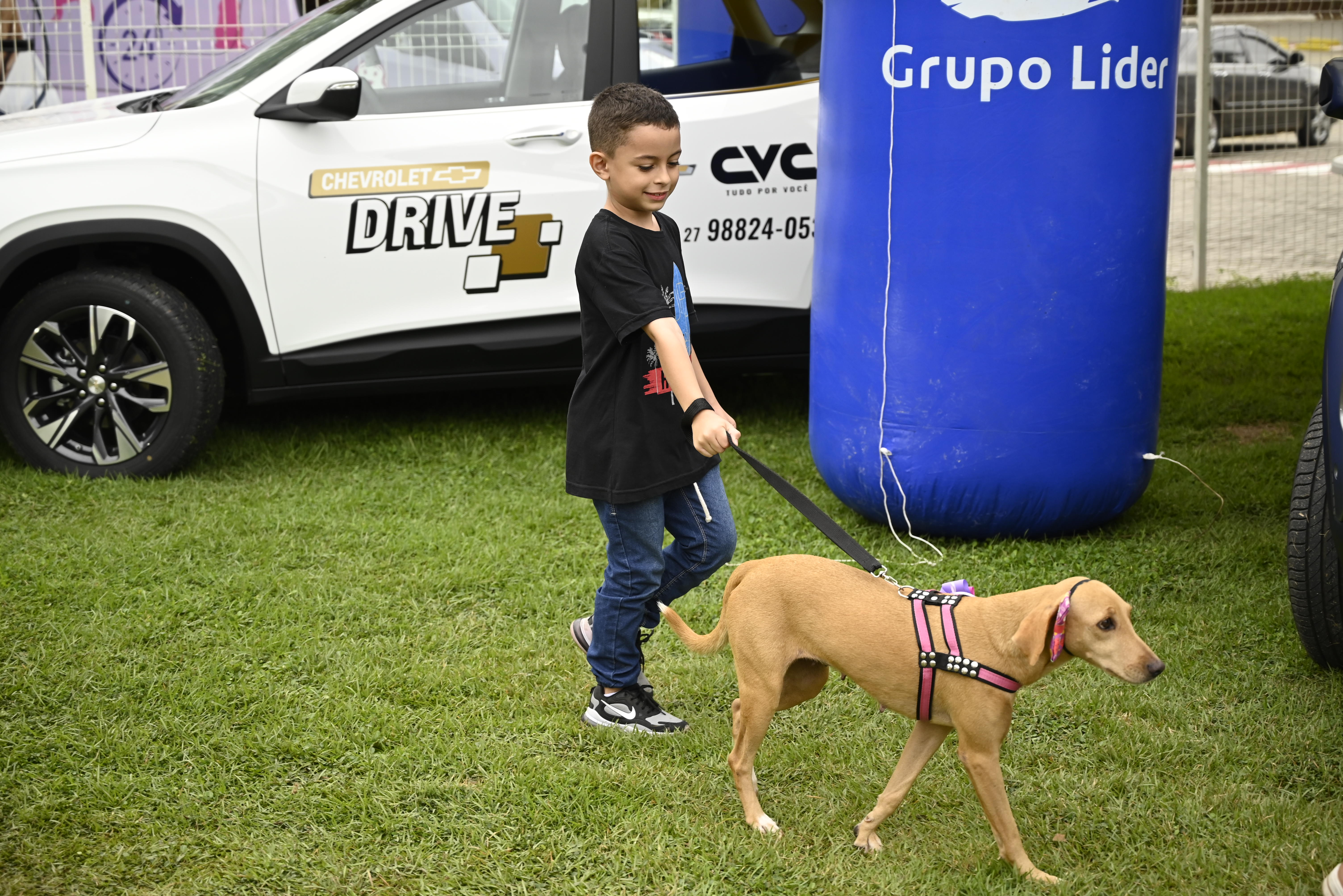 Vaca em espaço de interação do PetDay