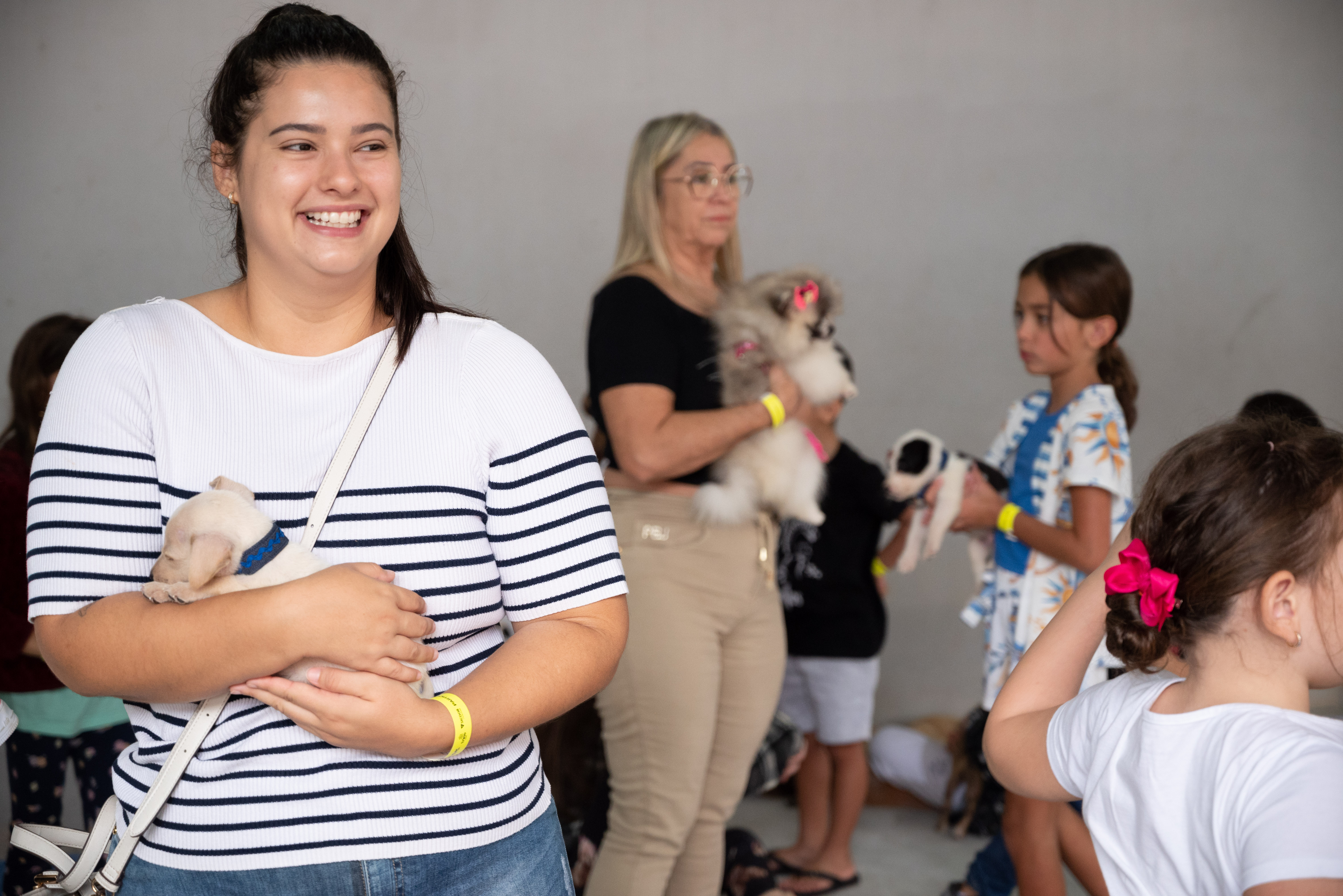 Desfile pet na passarela vermelha